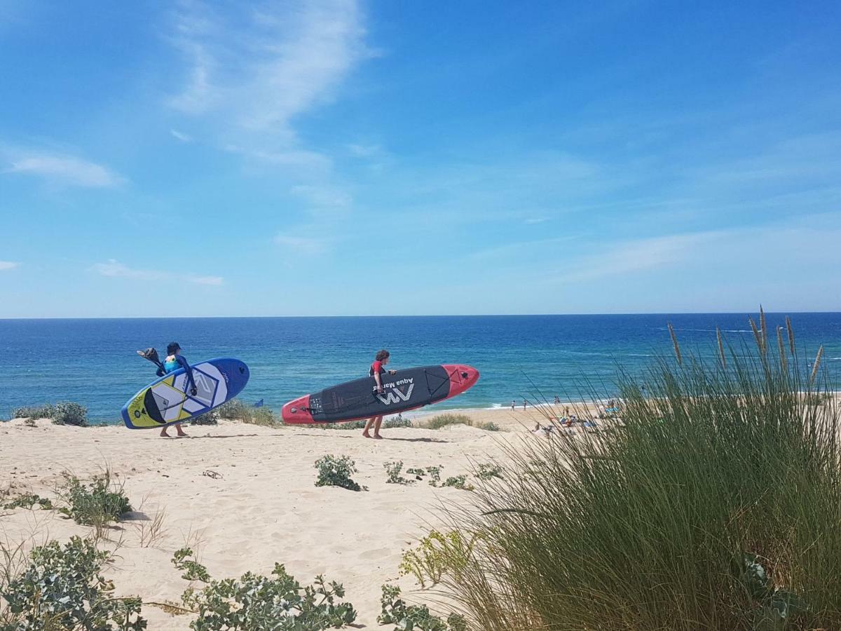 La Pinede Oceane,400M Des Plages 미미장플라즈 외부 사진