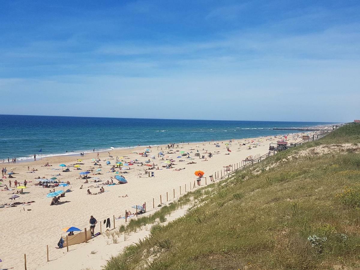La Pinede Oceane,400M Des Plages 미미장플라즈 외부 사진