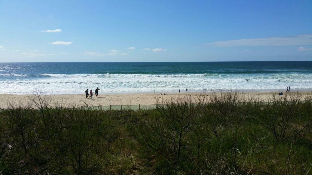 La Pinede Oceane,400M Des Plages 미미장플라즈 외부 사진