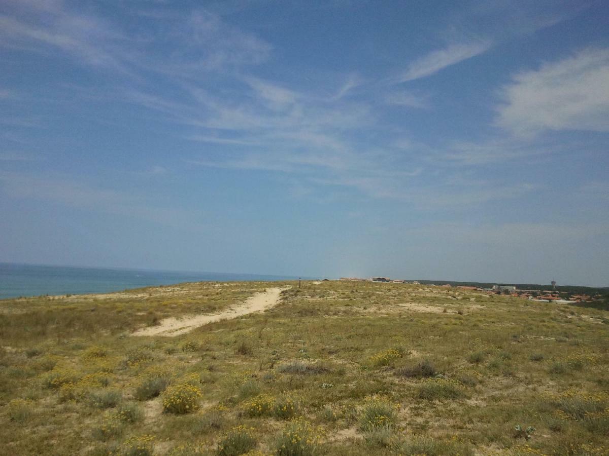 La Pinede Oceane,400M Des Plages 미미장플라즈 외부 사진