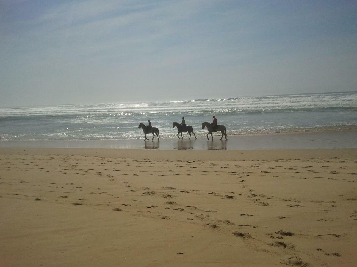 La Pinede Oceane,400M Des Plages 미미장플라즈 외부 사진